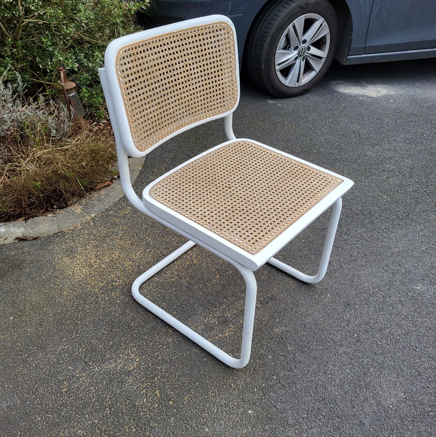 Chairs Cesca Marcel breuer