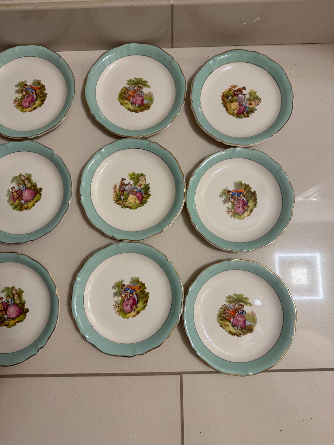 Ceranord St Amand main course and 10 dessert plates