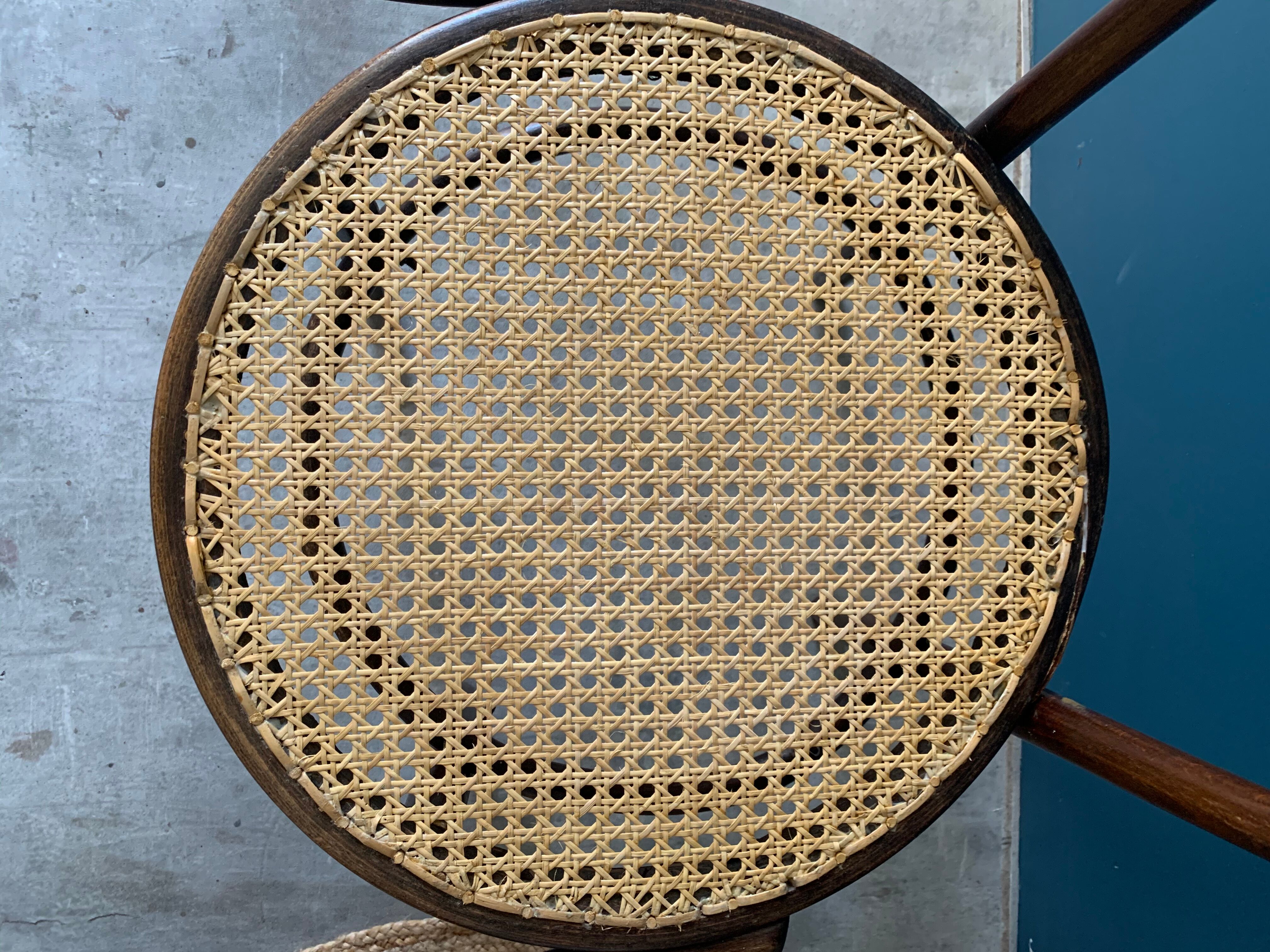 Mundus chair in curved wood