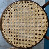 Mundus chair in curved wood