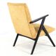 mid century modern vintage Armchair 'De Lier' - fully restored