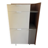 Secretary dino - cinna