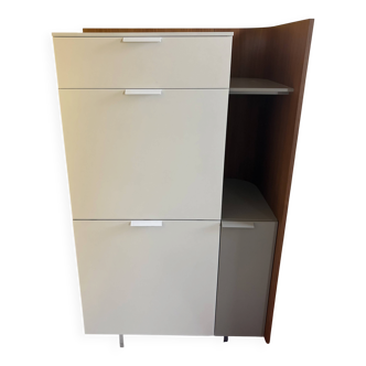 Secretary dino - cinna