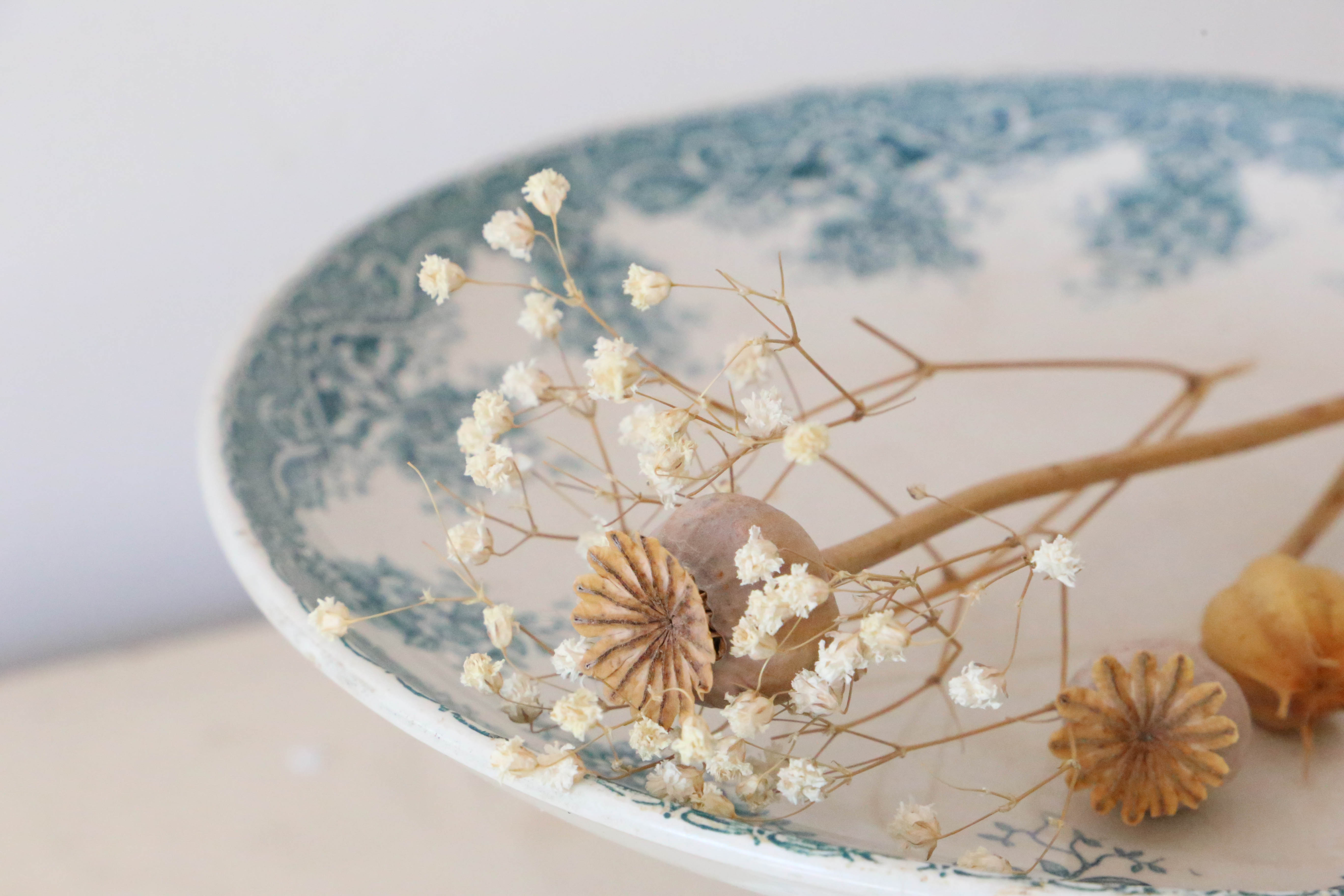 Antique ceramic compotier, Prima model of Saint Amand, French manufacture, late nineteenth