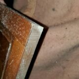 Pair of art deco doors