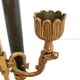Chandelier with the Fan, the Griffins and the Rooster - Louis XVIII - Gilded brass