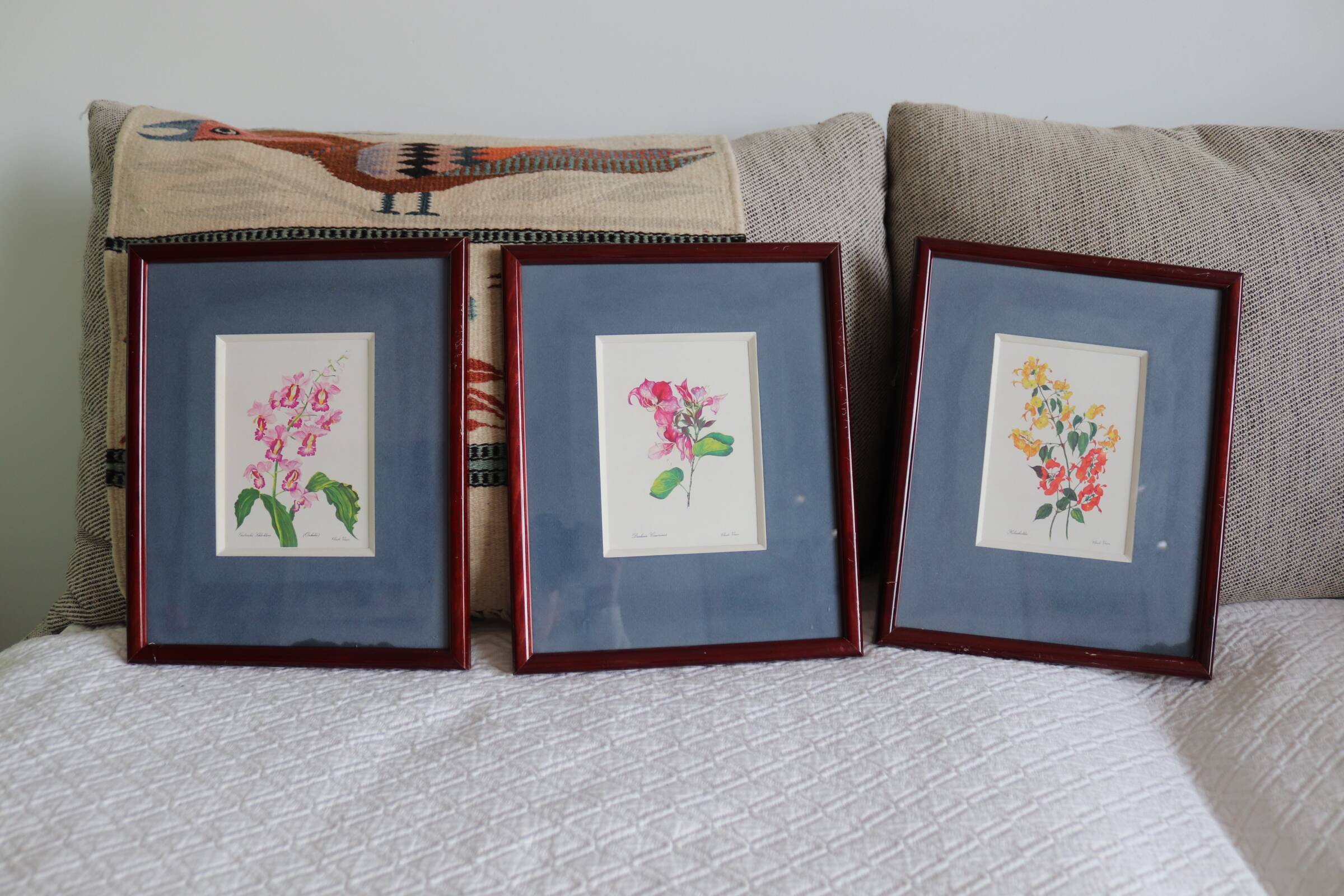 3 botanical illustrations flowers Claude vinçon