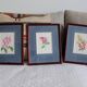 3 botanical illustrations flowers Claude vinçon