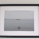 Black and white photograph on aluminium - Saint Malo, Bon Secours swimming pool