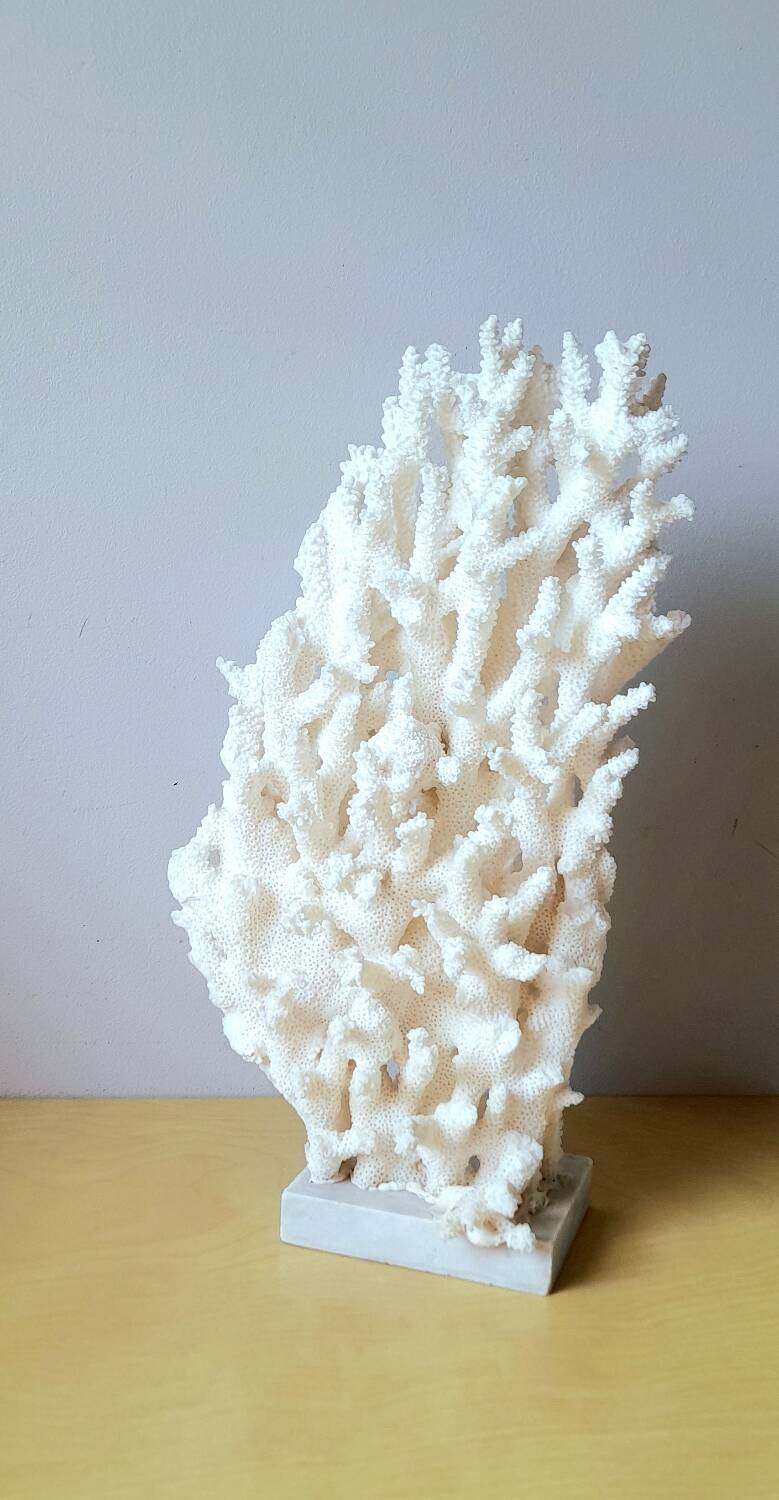 Antique white coral on marble base