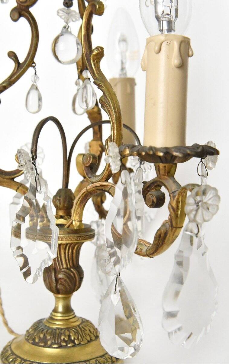 Pair of gilded bronze candelabra with three arms of light