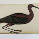 Pair of reproductions of the Codex Pomar of Natural History, Valencia, 1990