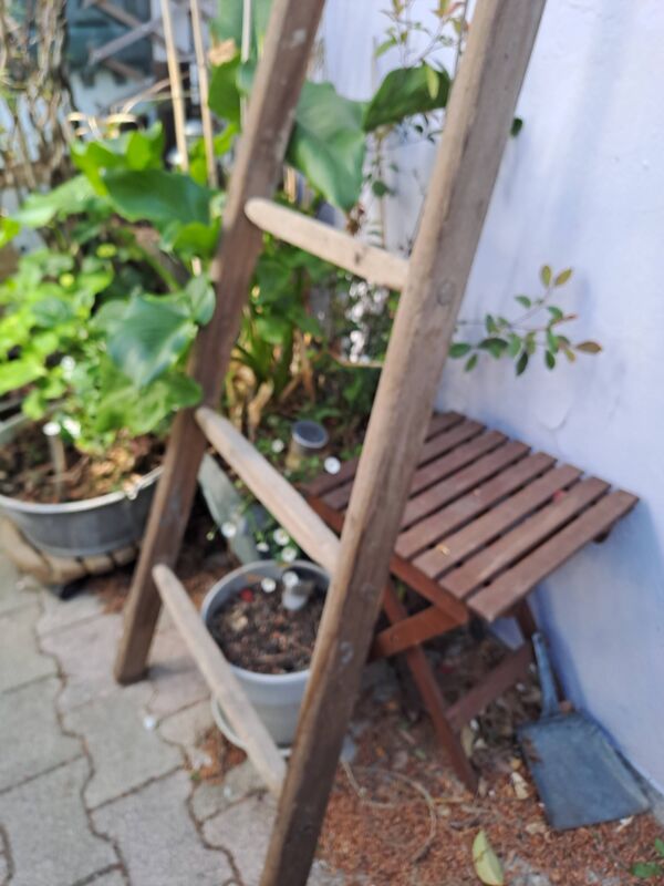 Echelle de cueillette en bois vintage 7 barreaux