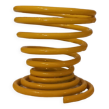 spiral cockroach