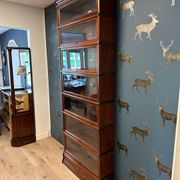 Antique Globe Wernicke Bookcase