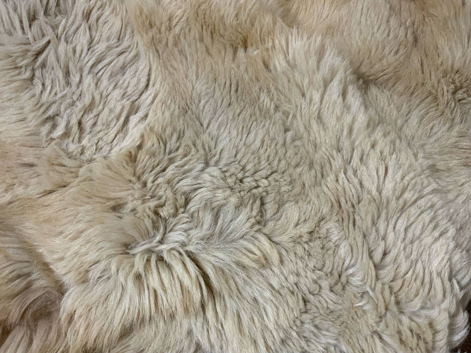 Goat skin rug