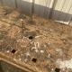 Double press carpenter workbench
