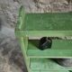 Vintage open pine shelf, original sage green paint, circa 1900–1930.