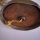 Antique lamp in enamelled porcelain and bronze