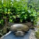 Large fruit bowl with mascaron signed WMF, Art Nouveau period.