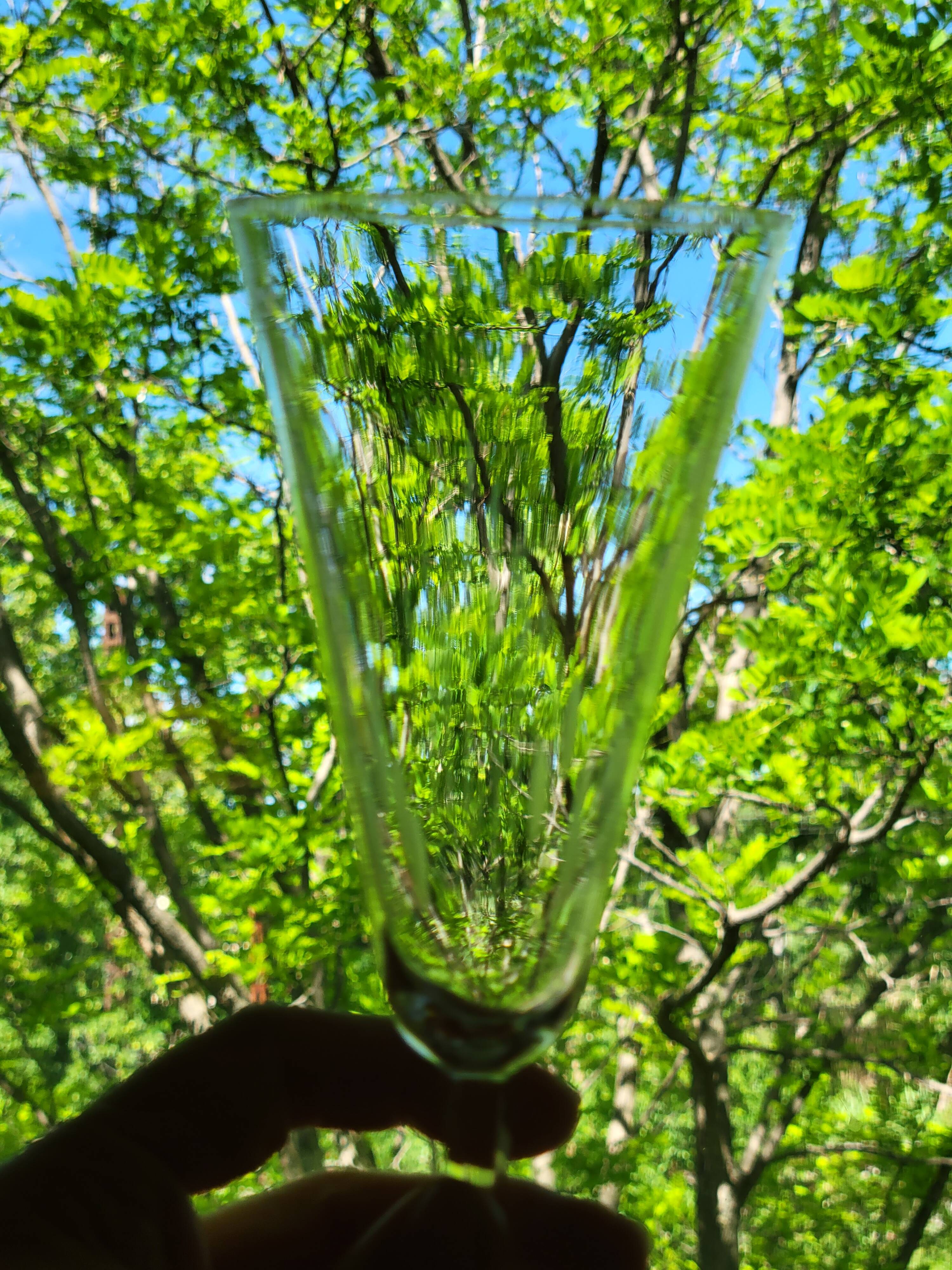6 old cut crystal champagne flutes