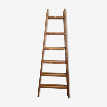 Painter wooden stepladder