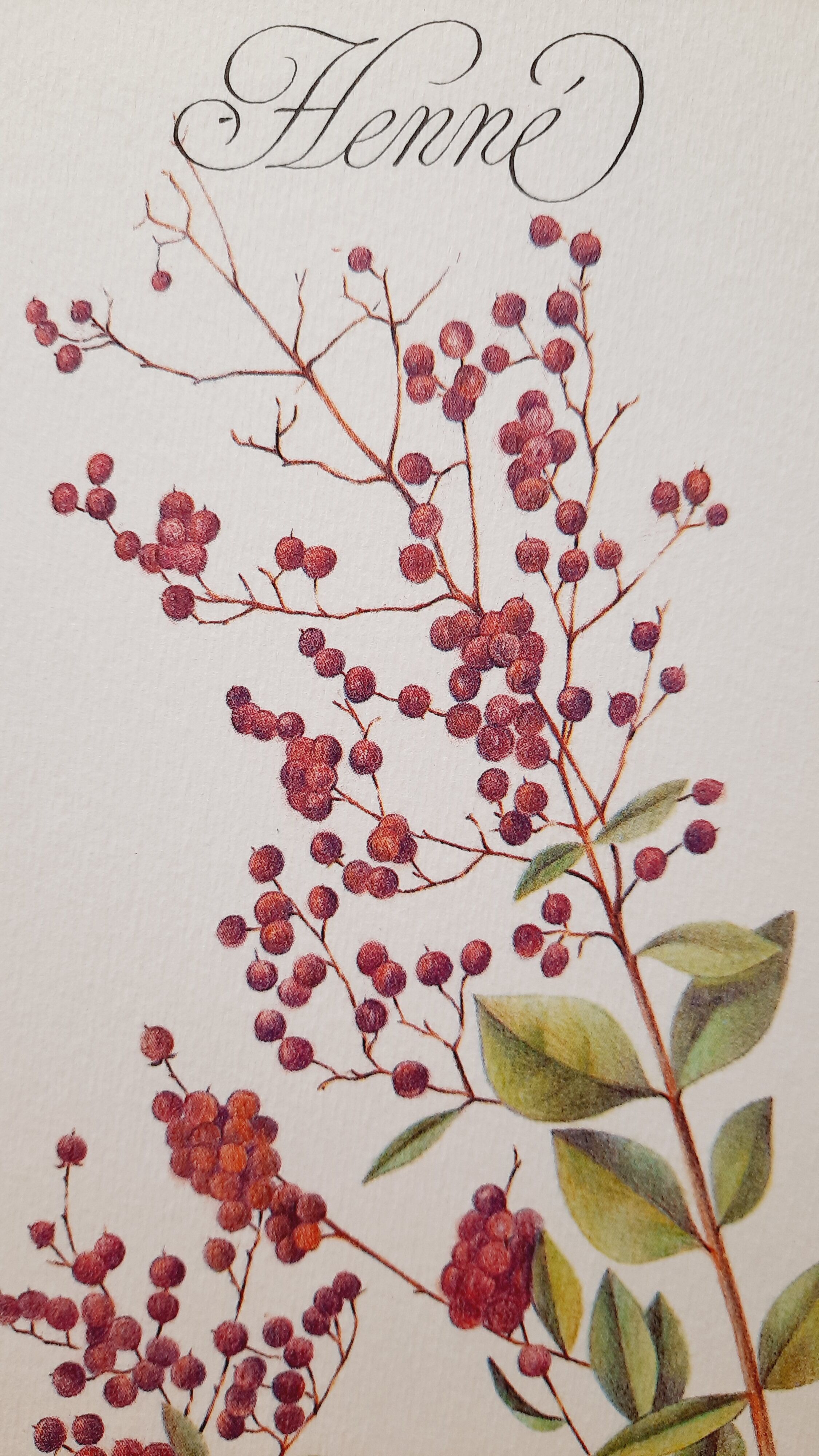 Botanical board Henna