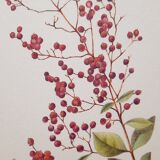 Botanical board Henna