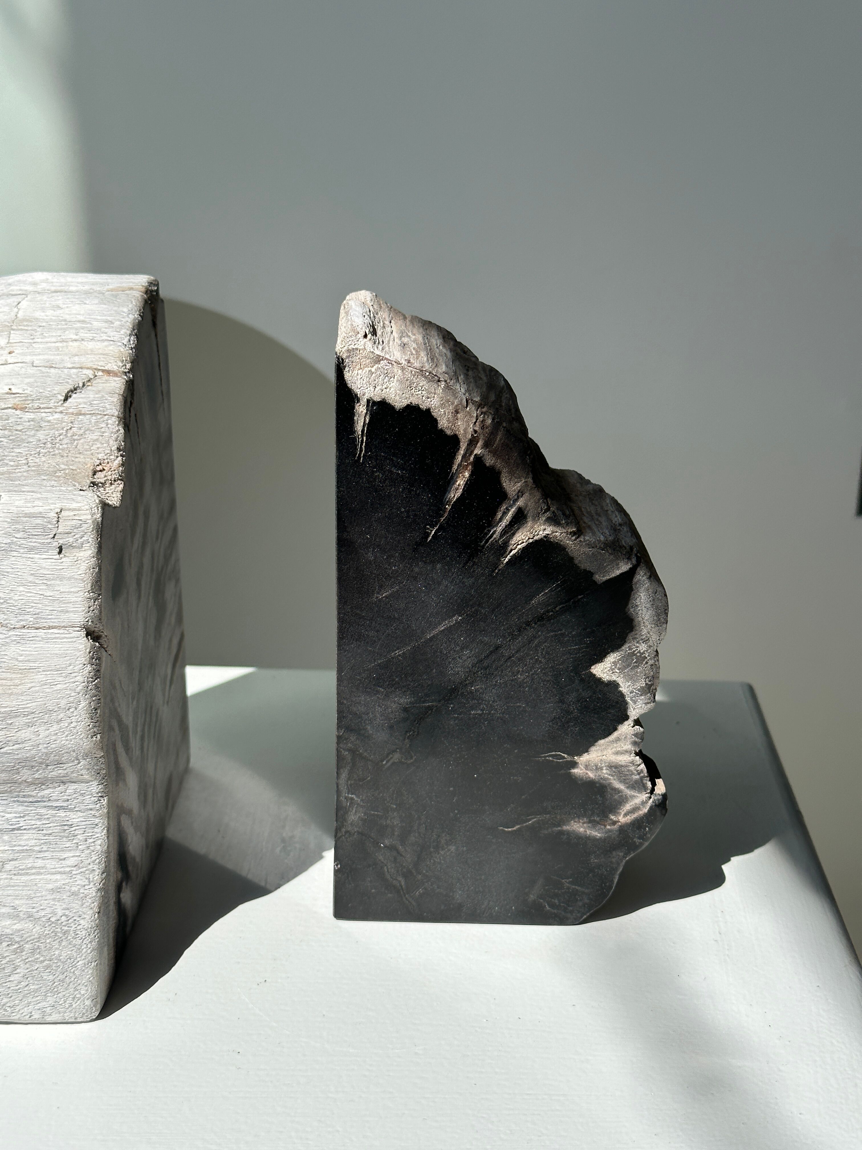 Black petrified wood bookend H17 L17 P6