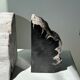 Black petrified wood bookend H17 L17 P6