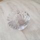 Vide-Poche coquillage en verre transparent