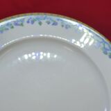 5 large flat plates guy degrenne model tuscany porcelain limoges