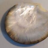 Pair of mother-of-pearl empty pockets