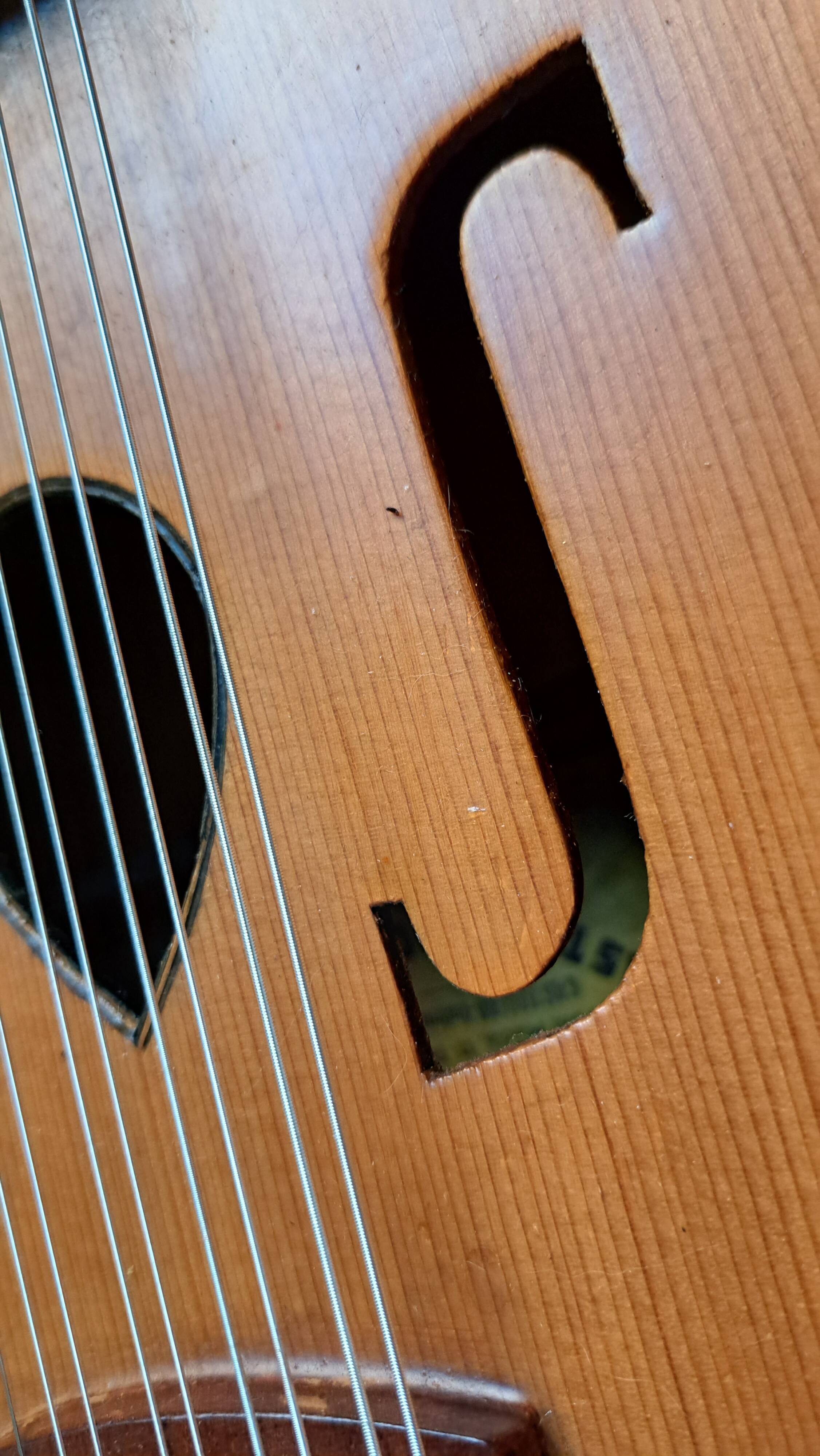 Antique instrument castellano laùd 12 strings (bandurria) - spain 1960s