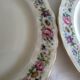 Limoges Bernardaud 5 Flat Plates in porcelain