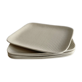 PM Jars Nature Print Trays