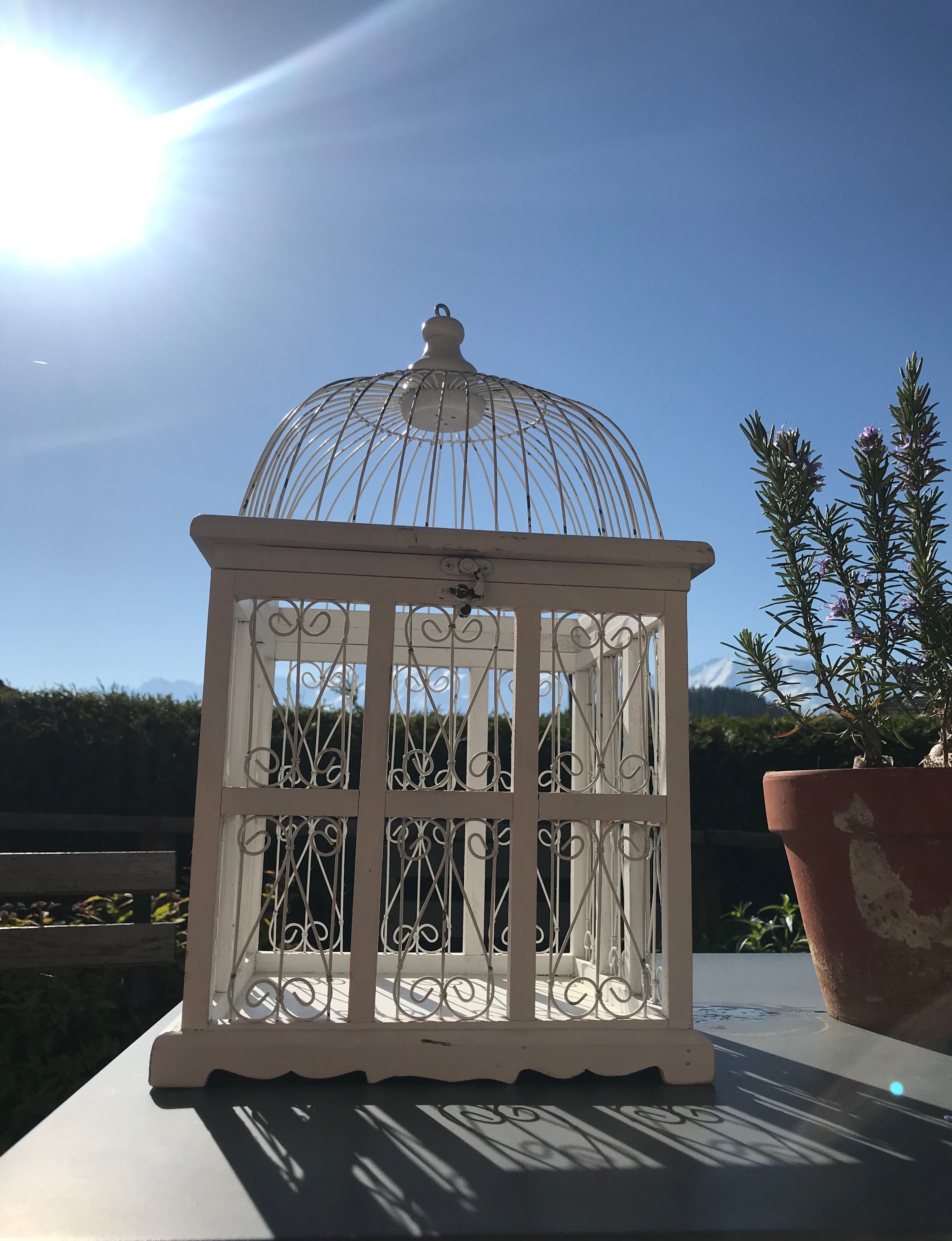 Cage à oiseaux blanche