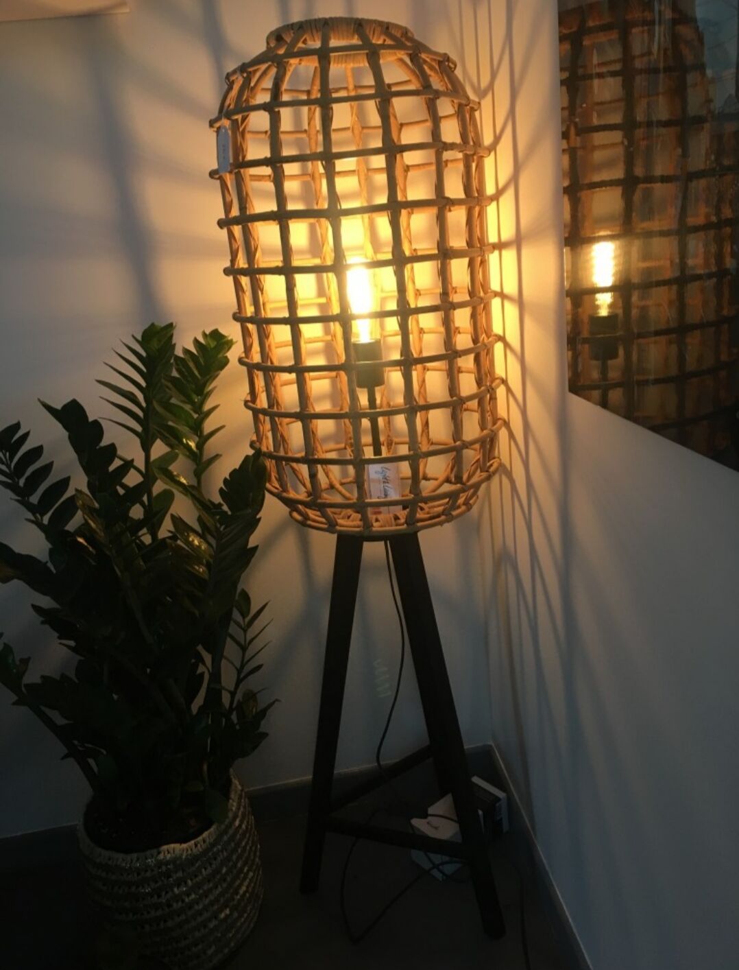 Wicker cage floor lamp