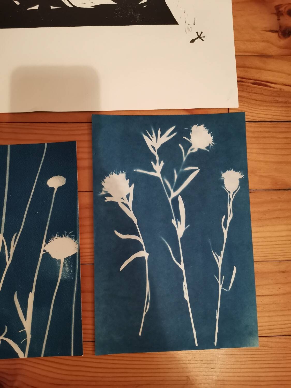Cyanotype and wood engraving lot