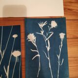Cyanotype and wood engraving lot