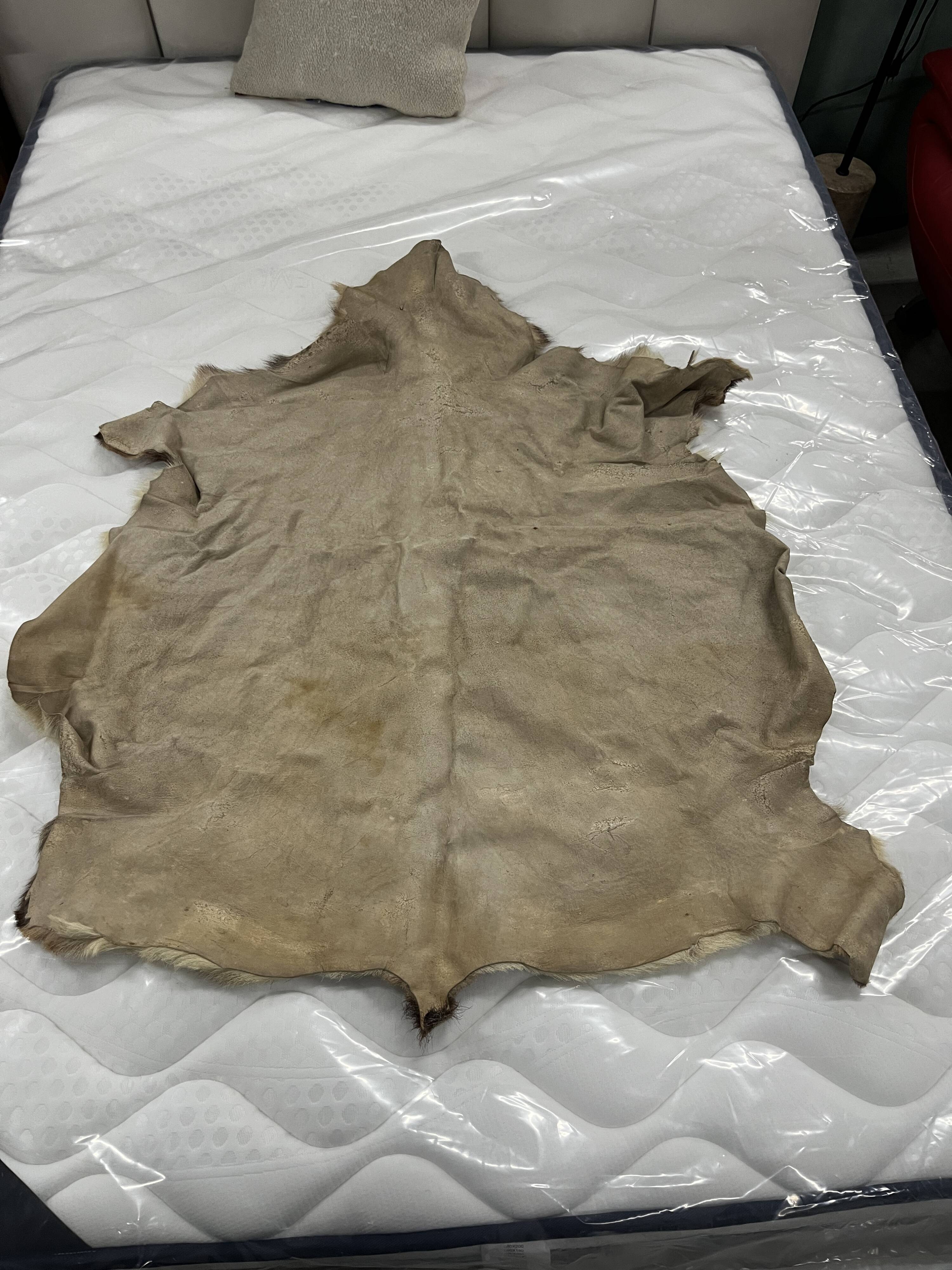Goat skin rug, 20th century.