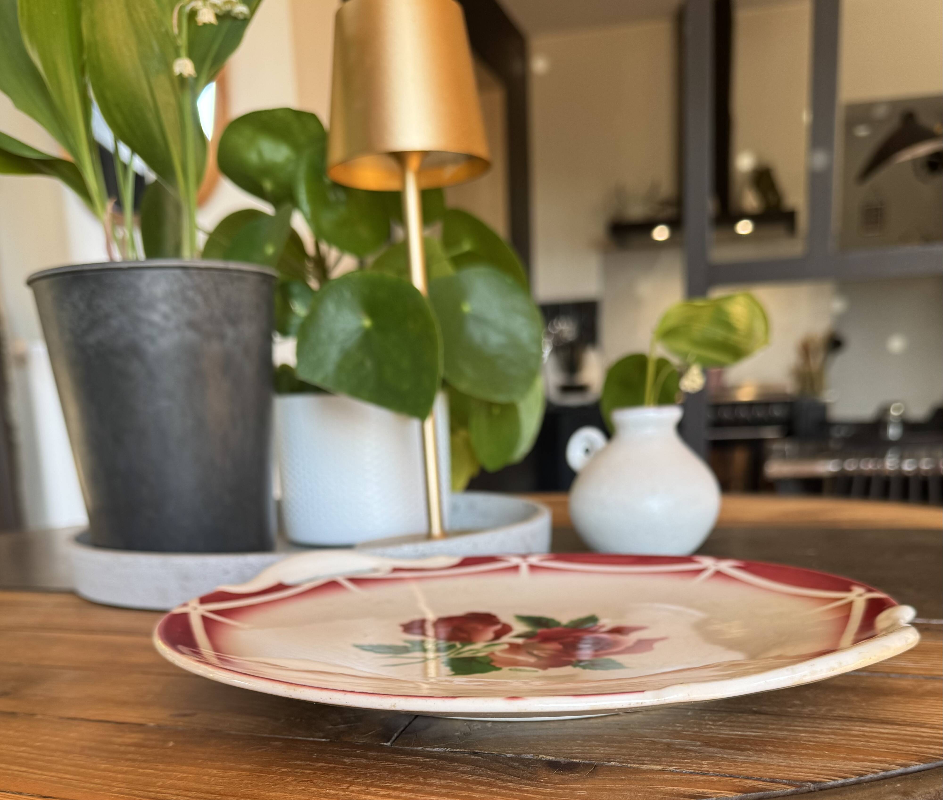 Dish Digoin Sarreguemines