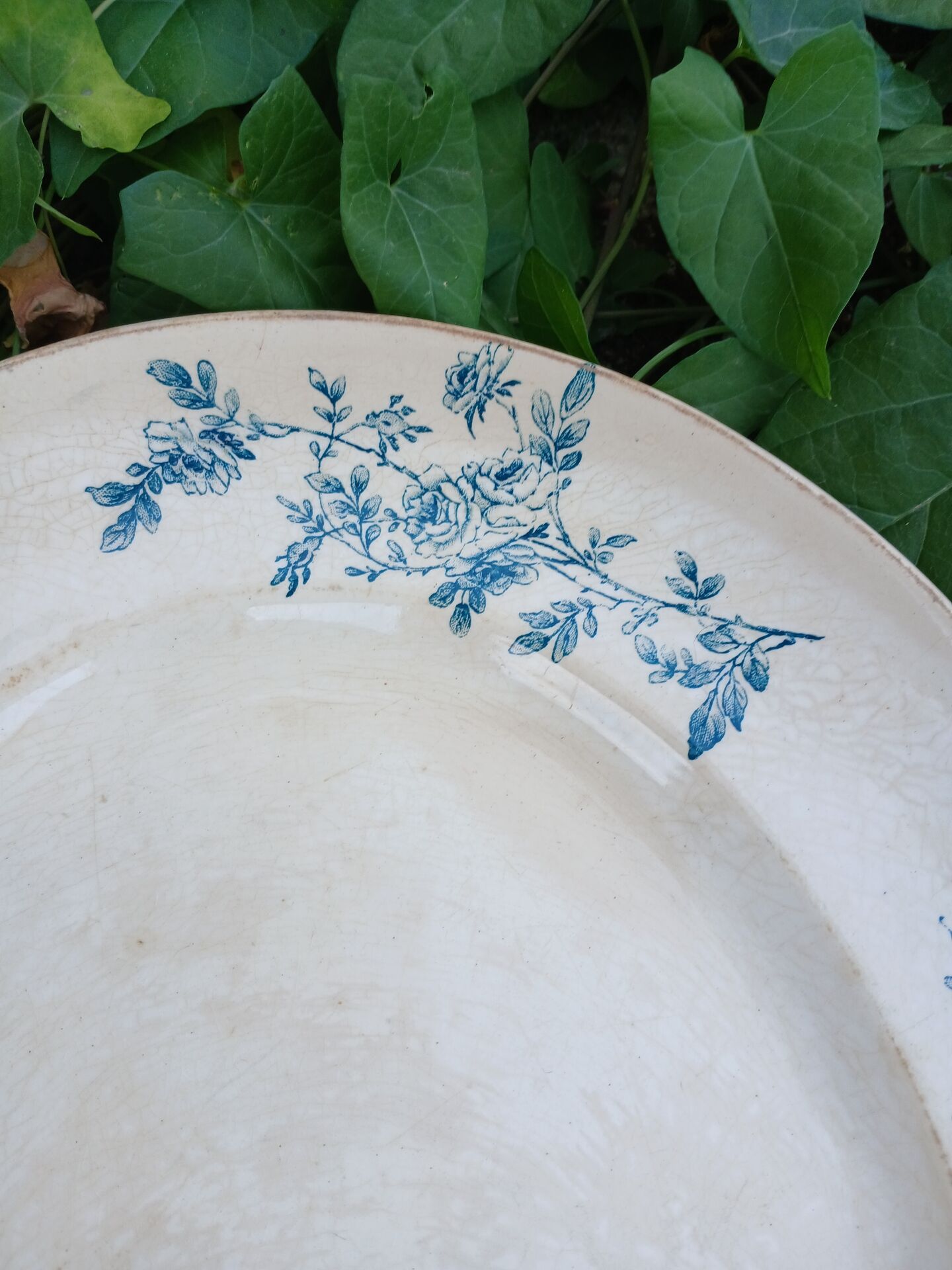 Old plate in Creil and Montereau ironstone