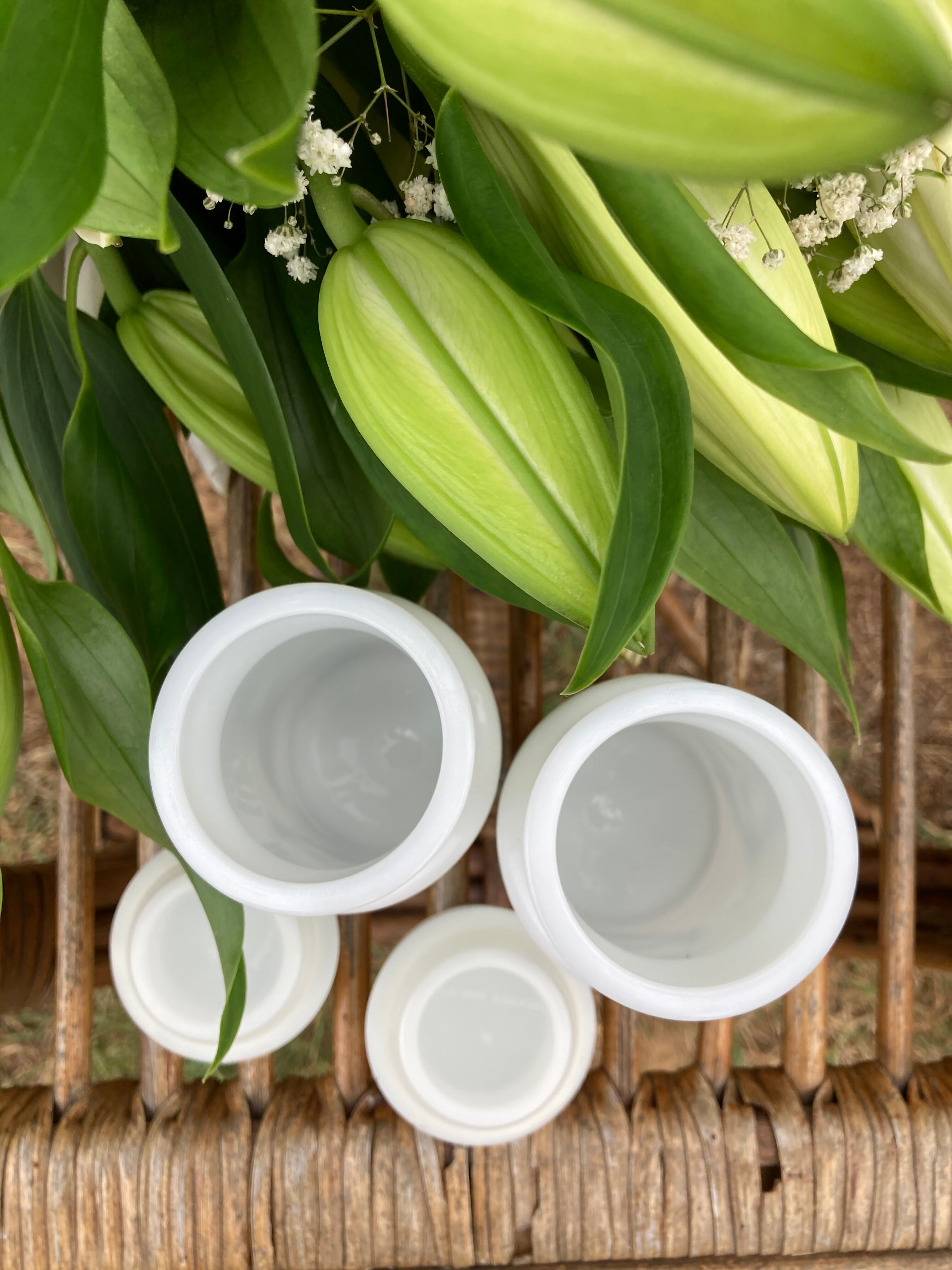 Vintage opaline apothecary pots