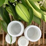 Vintage opaline apothecary pots