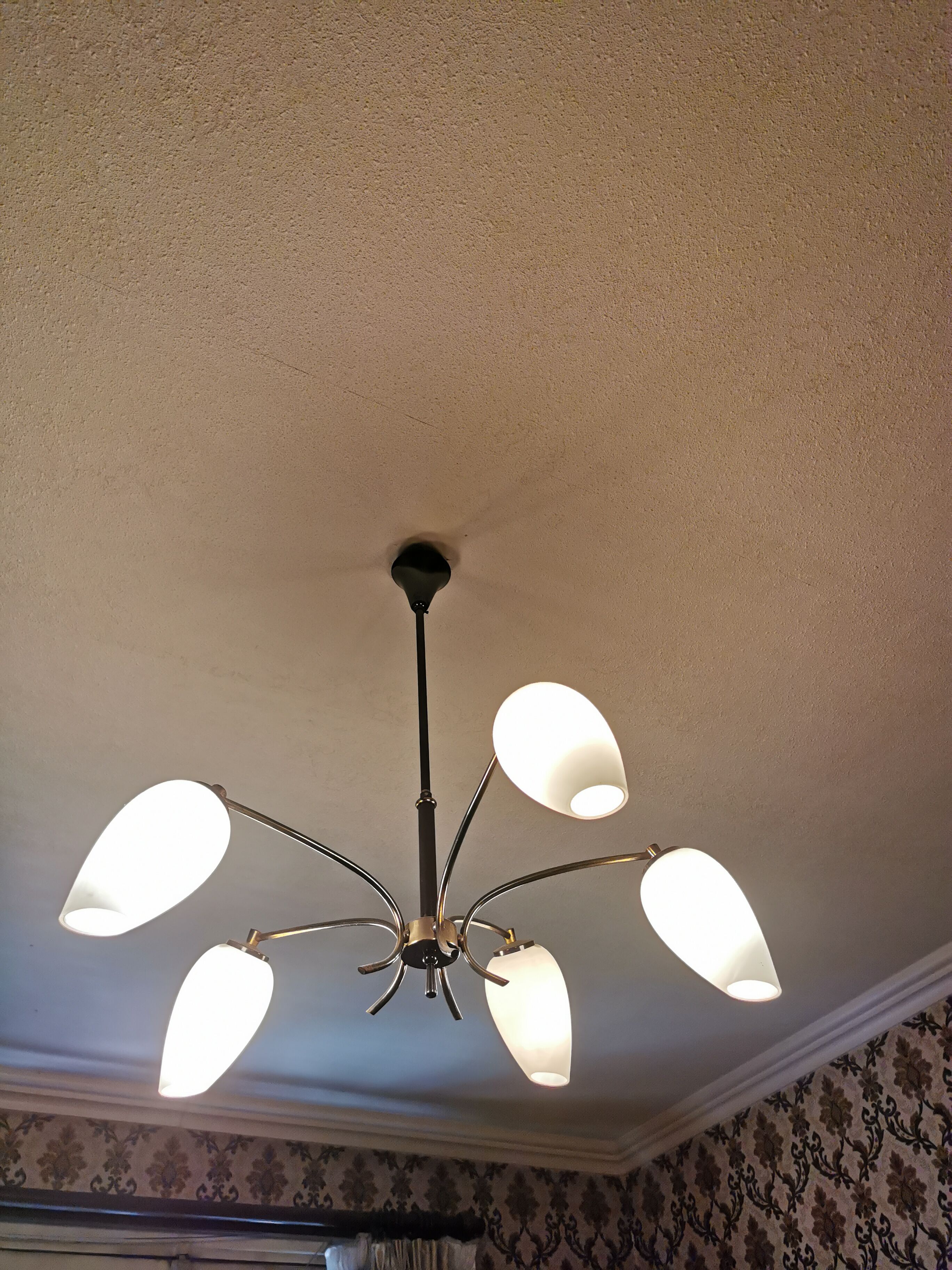 Chandelier 5 arms, 1950