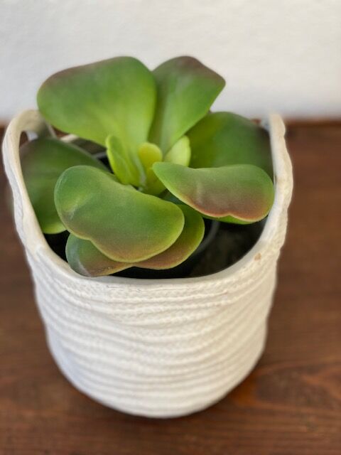 White basket pot cover