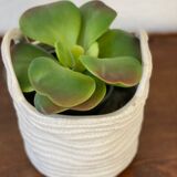 White basket pot cover