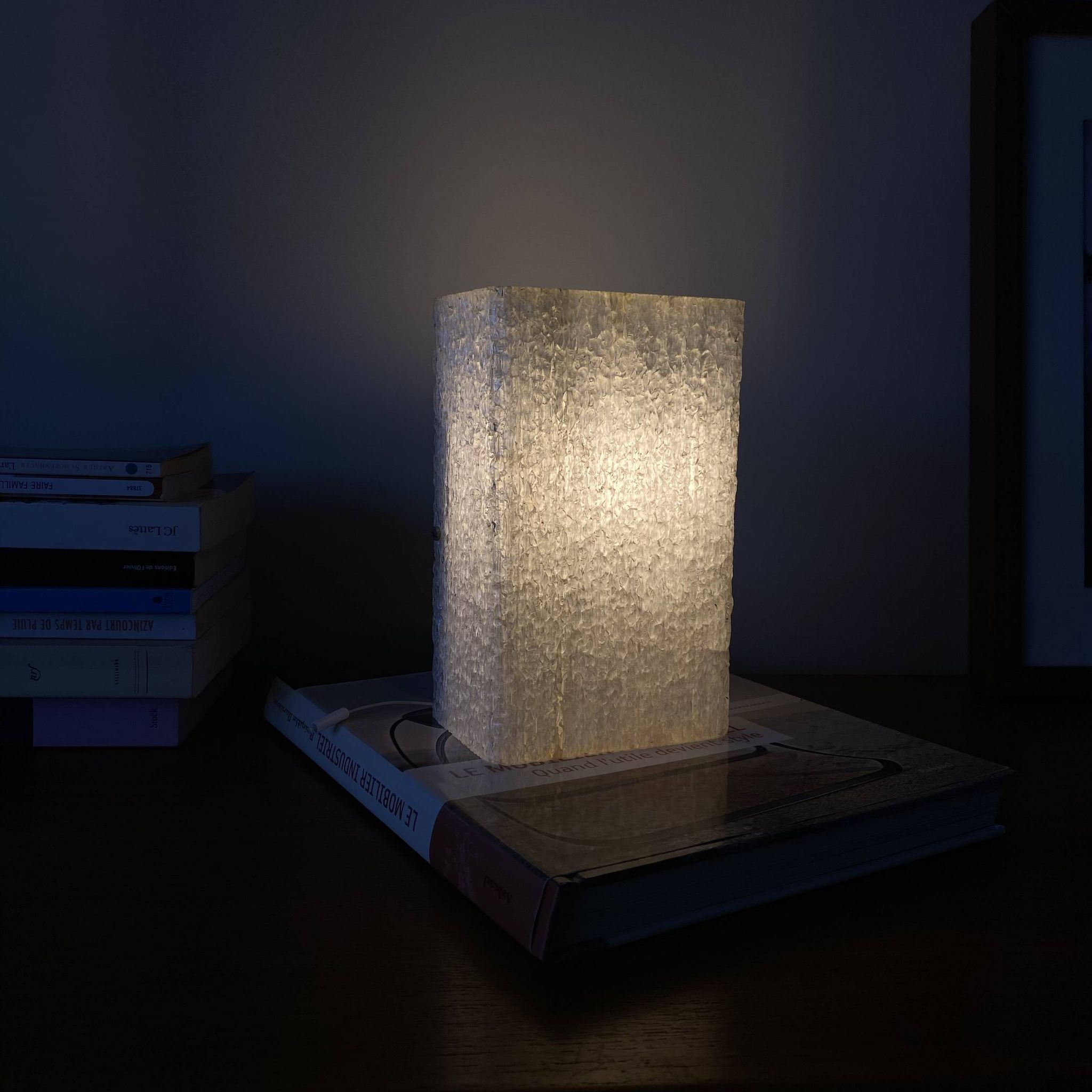 Seventies frosted plastic perspex wall light.