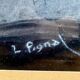 Old drawing still life signed L. Pignal – candle, book, glasses
